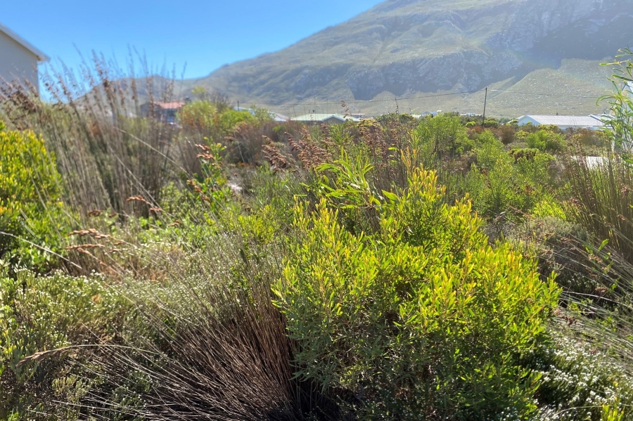 0 Bedroom Property for Sale in Bettys Bay Western Cape